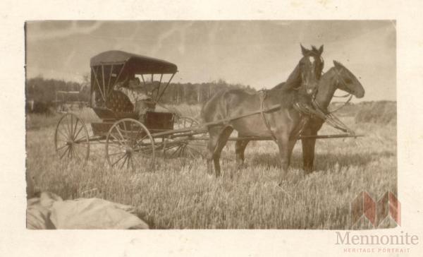 BARKMAN, JOHN R. HORSE & CARRIAGE.jpg