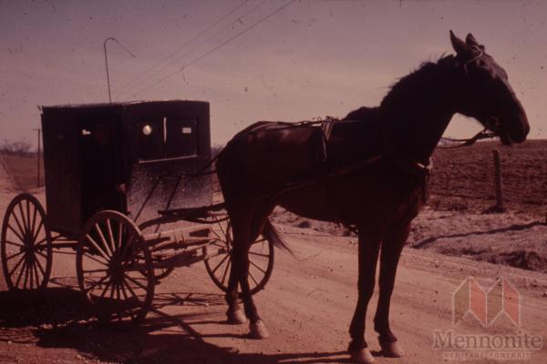 Hist.Mss.10.1.4 Fretz 83-149.jpg