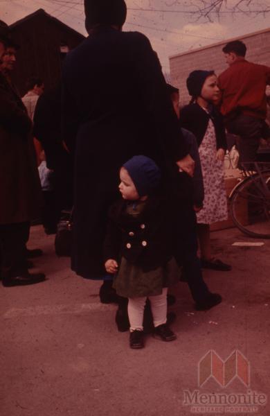 Hist.Mss.10.1.4 Fretz 83-156.jpg