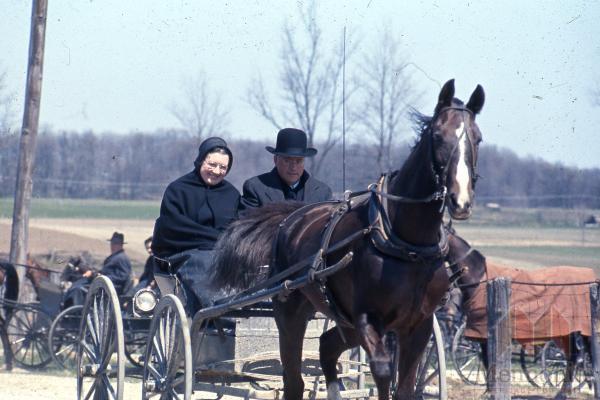 Hist.Mss.10.1.4 Fretz 83-180.jpg