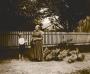 Catharine S. [Good] Erb with a child visiting her farm through the Toronto Children's Fresh Air Mission program, c. 1910