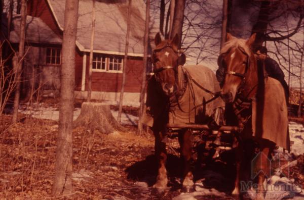 Hist.Mss.10.1.4 Fretz 83-141.jpg