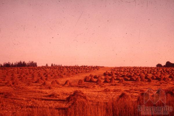 Hist.Mss.10.1.4 Fretz 83-244.jpg