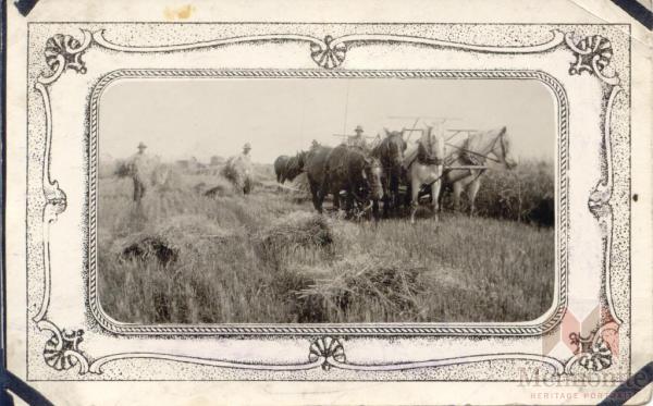 BARKMAN PT FARMING 3.jpg