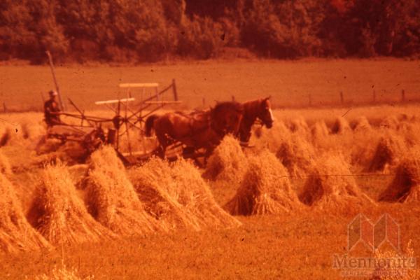 Hist.Mss.10.1.4 Fretz 83-243.jpg